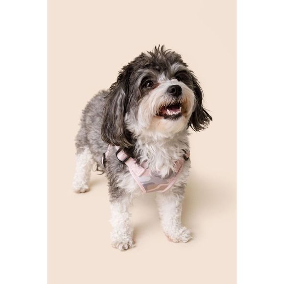 NEW Camo Dog Harness Size XL - Picture 2 of 6